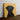 Golden Gaze Black Lab Portrait - Canvas Decor