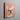 Peachy Cream Frenchie - French Bulldog Art Canvas Print by Paw Prints ๐พ