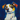 Navy Blue Dog Decor