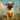 Vintage Dog Art