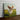 Fluttering Cavalier: Joyful Field Sprint - Canvas Decor