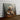 Golden Troubadour Lab - Canvas Decor