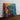 Rainbow Black Lab Radiance - Canvas Decor