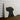 Regal Black Labrador Portrait - Canvas Decor