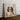 Springer Portrait on Abstract Canvas - Canvas Decor
